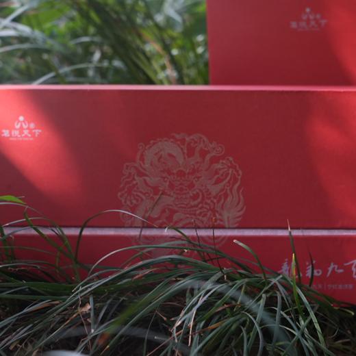 【龙翔九天】宁红龙须茶礼盒装 商品图1