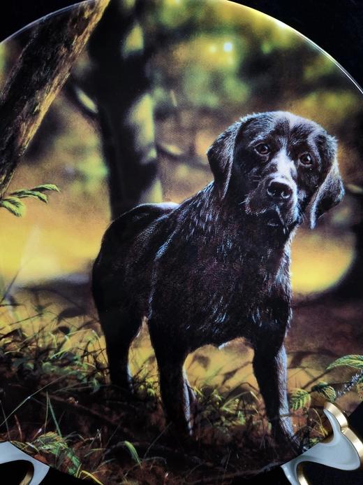 英国威基伍德骨瓷赏盘，John Silver创作的黑色拉布拉多系列 商品图1