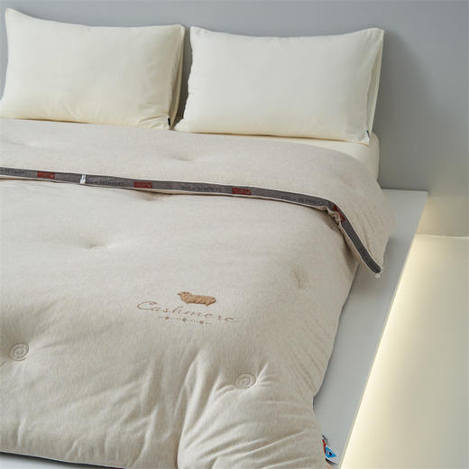 顶柔蚕丝羊毛润肤被2.0-BX2241 商品图8