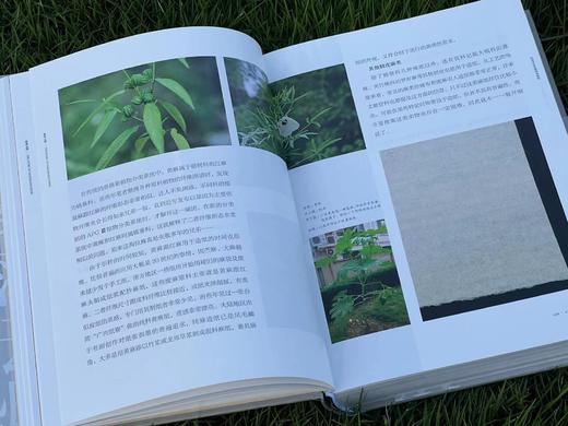 《纸落云烟——中国传统手工纸概览》，精装，16开，易晓辉著，西泠印社出版社2023年一版一印，定价288元，售价：精装本：228，精装签名钤印本：258元，特装：258，特装签名钤印本：288元。 商品图6