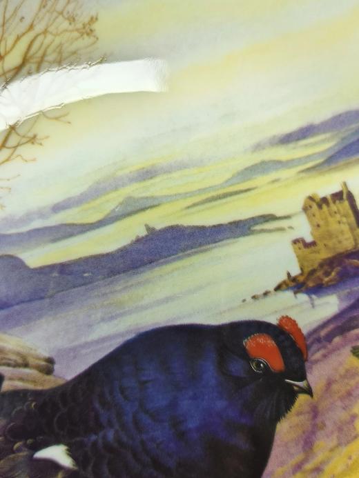 英国皇家格拉夫顿限量骨瓷赏盘，Derek Braithwaite的猎鸟系列 商品图10