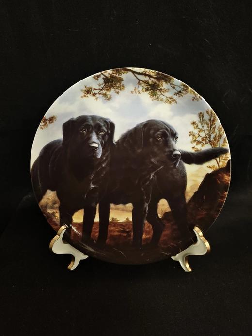 英国威基伍德骨瓷赏盘，John Silver创作的黑色拉布拉多系列 商品图6