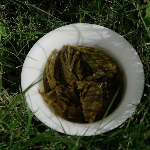 2023年 冰岛老寨小饼礼盒 普洱茶 生茶16g/盒 商品图3