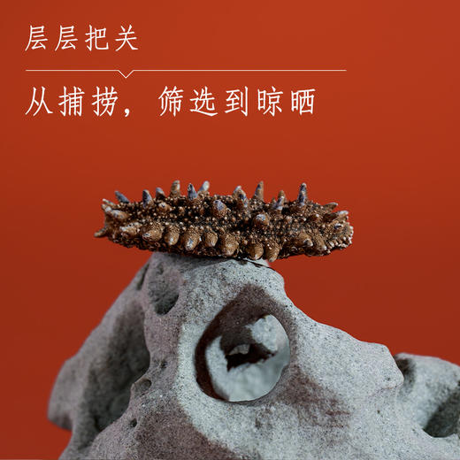 关东海参礼盒 商品图1