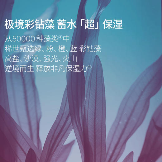 【套组】Evereden安唯伊密集高保湿精华面霜分龄面霜50ml*2件套 商品图5