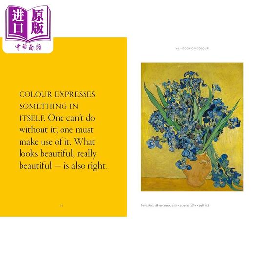 【中商原版】The World According To Vincent Van Gogh 进口艺术 文森特凡高笔下的世界 T&H 商品图4