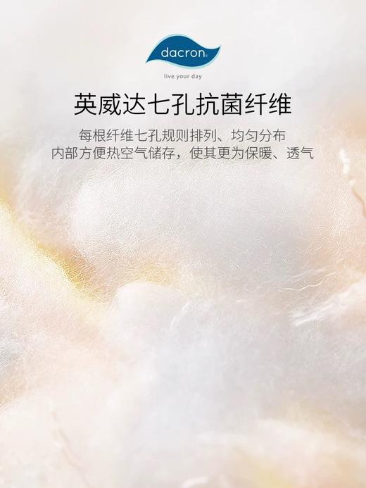 【ROYALCOVER】罗卡芙英威达七孔纤维保暖透气全棉抗菌纤维被 贝尔纳 商品图3
