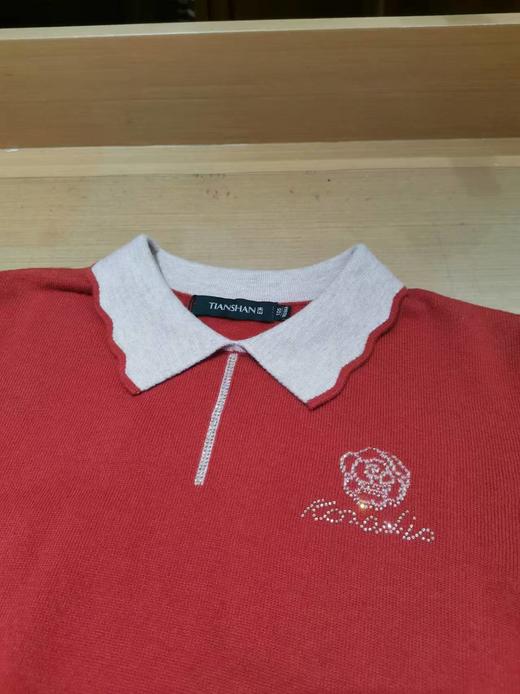 天山羊毛翻领女套衫 商品图3
