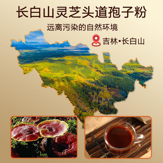 粉质细腻 菌香味浓 | 长白山破壁灵芝孢子粉 孢子油丰富 无熏染无添加 食养保健 100g/瓶 商品图1