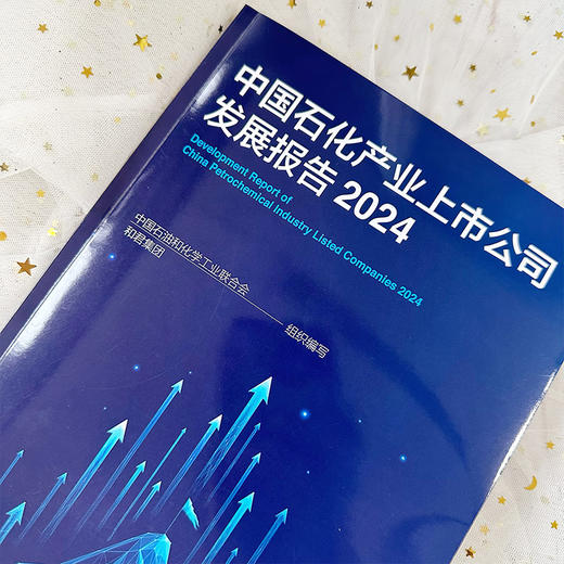 中国石化产业上市公司发展报告（2024） 商品图3