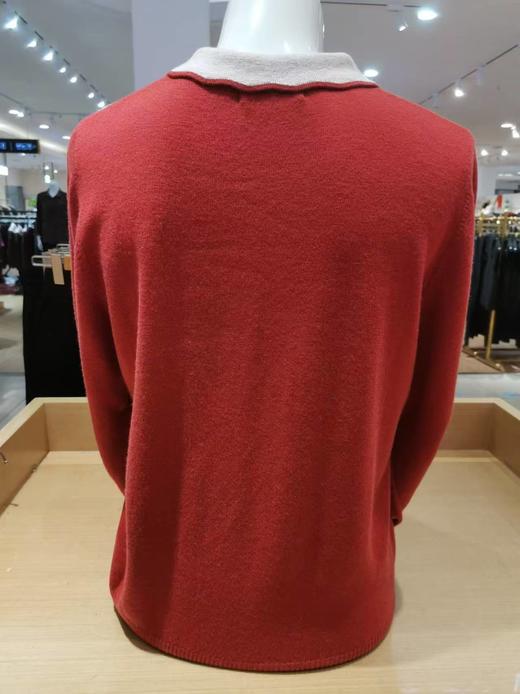天山羊毛翻领女套衫 商品图2