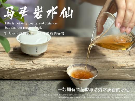 【好茶来了】2024马头岩高丛水仙，一款拥有兰花香与清雅木质香的水仙，亭亭玉立、娇艳可人！ 商品图13