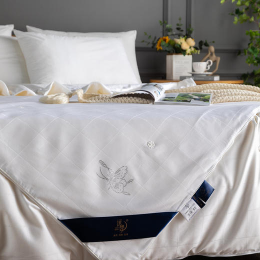 【远梦】纯棉提花蚕丝子母被 商品图6
