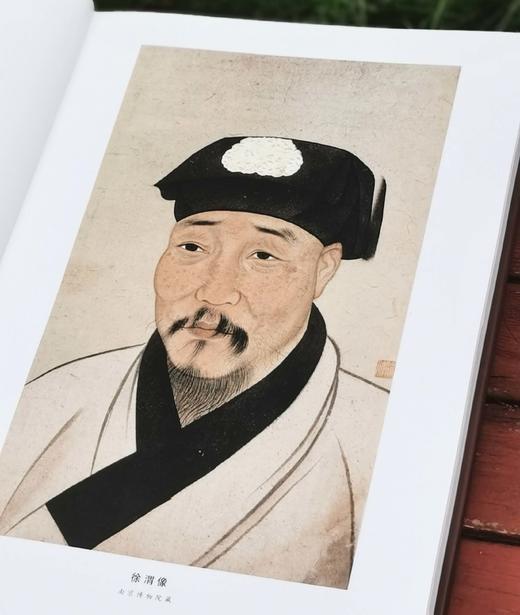 重点推荐！！！《徐渭书画全集》，精装，8开，函套装全2册，徐渭绘著，天津人民美术出版社2014年一版，2019年二印，近500页，定价800，售价398元。 商品图3