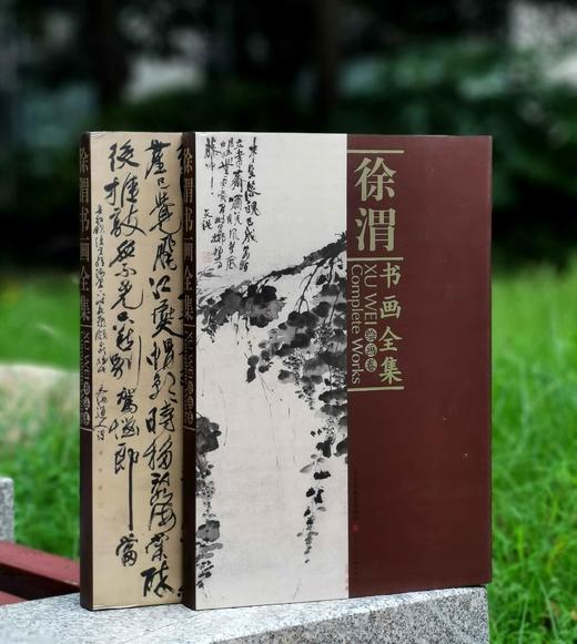 重点推荐！！！《徐渭书画全集》，精装，8开，函套装全2册，徐渭绘著，天津人民美术出版社2014年一版，2019年二印，近500页，定价800，售价398元。 商品图1