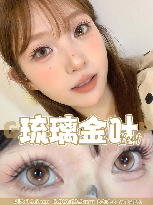 papadox月抛 青霜碧玉/琉璃金叶/熏衣紫雾 14.5mm 蓝/棕/紫 一盒一个度数 商品图0