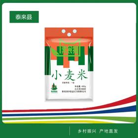 素食猫小麦仁400克/袋