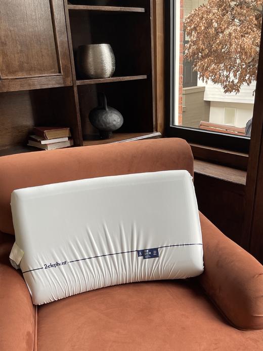 💤深睡眠枕头天花板【亚*‎朵同款深睡星球枕】亚*⁠朵源头工厂出品 慢回弹，⁥深度睡眠💤 ✔️母婴A类级别，⁨安全放心 商品图1