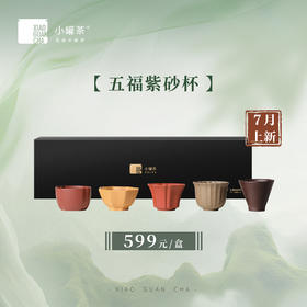 内部会员福利小罐茶五福紫砂杯，发京东物流