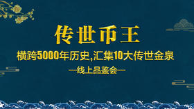 传世币王