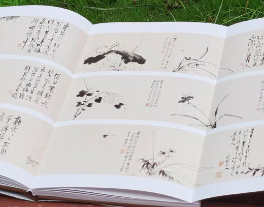 重点推荐！！！《徐渭书画全集》，精装，8开，函套装全2册，徐渭绘著，天津人民美术出版社2014年一版，2019年二印，近500页，定价800，售价398元。 商品图5