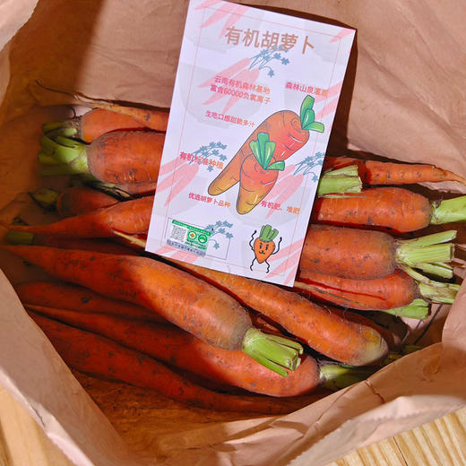 【顺丰发货】云南有机红胡萝卜 口感脆爽清甜新鲜蔬菜整箱发货3斤 商品图4
