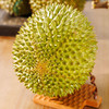 马来西亚猫山王榴莲【鲜果】 商品缩略图11