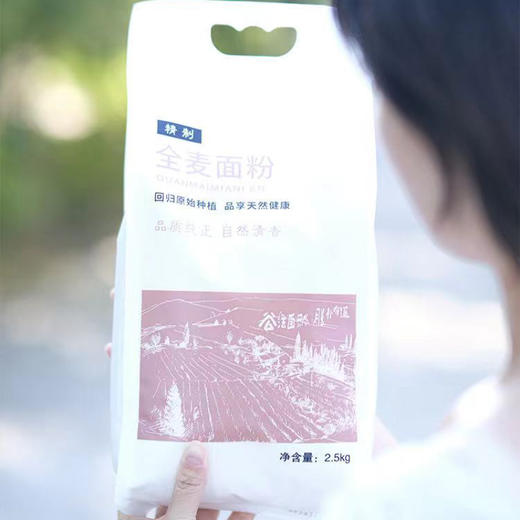 【石磨全麦面粉】古法石磨，原始种植！低温低速，营养流失最少！保留膳食纤维，饱腹感强！麦香味浓郁，可做任何面食，天然健康！ 商品图2