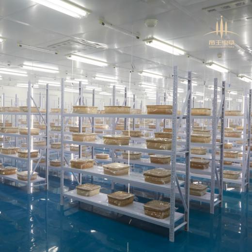 【帝王虫草】神奇蝌蚪，精选金黄饱满虫草，顺丰冷链直送，营养美味更安心 商品图9