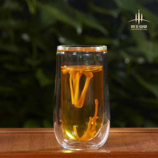 【帝王虫草】神奇蝌蚪，精选金黄饱满虫草，顺丰冷链直送，营养美味更安心 商品图8