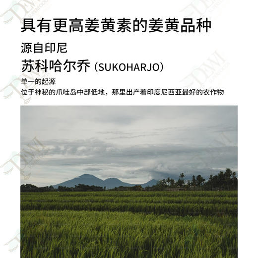 Dewi黛维印尼姜黄粉瓶装C3姜黃素无糖添加黄金奶冲饮Turmeric 商品图2