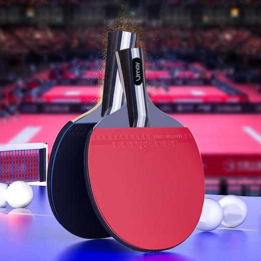 佑美乒乓球拍套装 PPQ03-01SCB 商品图3