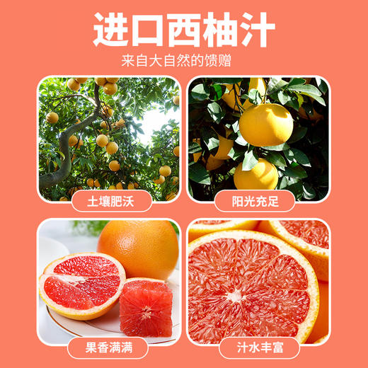 英贝健益生元西柚纤维果饮500ml/瓶 商品图3