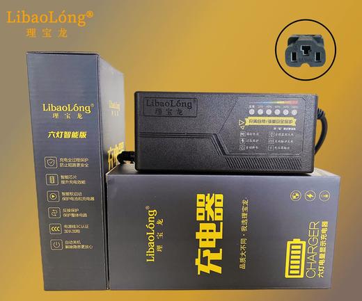 理宝龙六灯充电器 商品图0