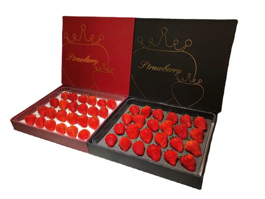 【颗颗甄选 丹东直发】丹东99草莓生鲜水果 新鲜红颜现摘 应季九九草莓产地-QQ 商品图14