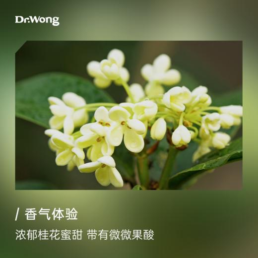 桂花2g 植物香薰精油 商品图1