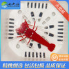 火焰虾Lysmata debelius 商品缩略图1