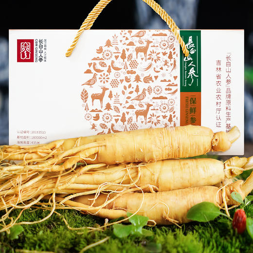 热销T【保鲜参礼盒】吉林特产人参新鲜人参150g8支装 商品图1