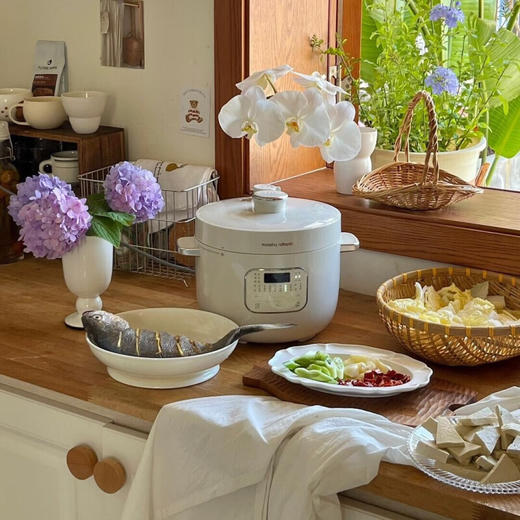 【小家电】摩飞电器电压力锅 电高压锅电饭锅电饭煲家用2.5L MR8701 HF 商品图0