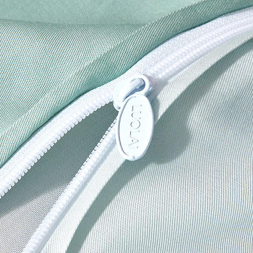 QFZ6-022 罗莱•花漾-浅蓝色 商品图5