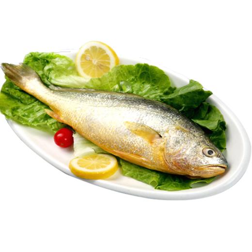 大黄花鱼 商品图0