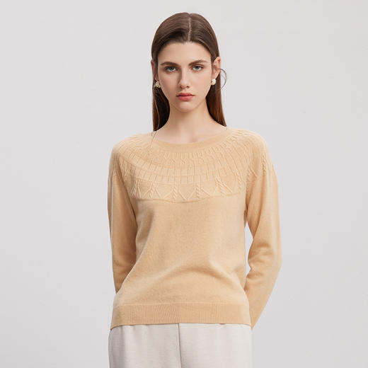 【圆领提花羊绒衫】羊绒世家秋冬新品女士100%山羊绒内搭保暖毛衣 商品图0