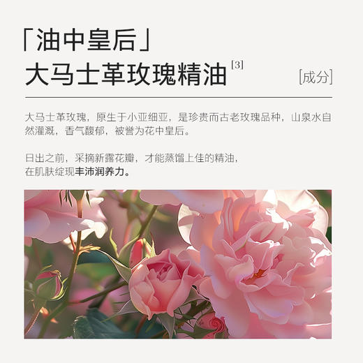 【夏徽-保湿芳香护手霜】植物精油香氛，抬手生香，两种肤感香型随心选。 商品图3