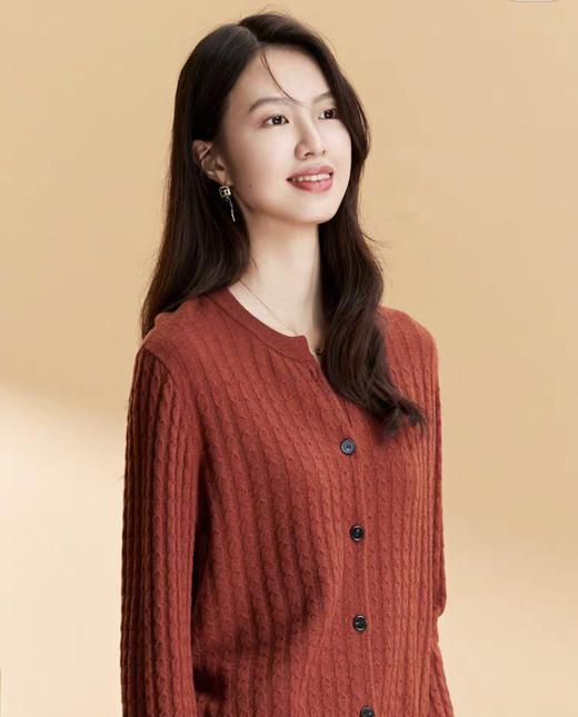 皮尔卡丹毛衫 秋冬季新款绵羊毛宽松保暖气质显瘦圆领女软糯风上衣毛衣 商品图1