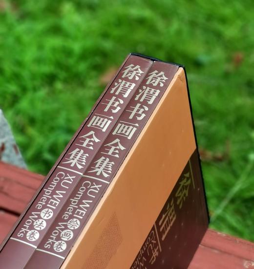 重点推荐！！！《徐渭书画全集》，精装，8开，函套装全2册，徐渭绘著，天津人民美术出版社2014年一版，2019年二印，近500页，定价800，售价398元。 商品图2