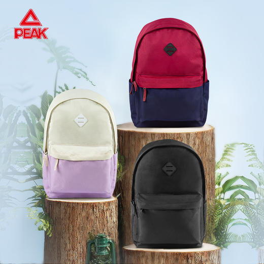 匹克2024年秋冬新款时尚系列双肩背包B1243910 商品图0