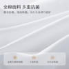 太湖雪 100%桑蚕丝冬被 蚕丝净重3斤 全棉 防螨抑菌保暖贴身200*230白 商品缩略图1