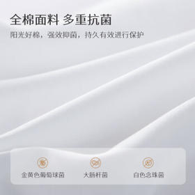 太湖雪 100%桑蚕丝春秋被 桑蚕丝净重2斤 全棉粉色防螨轻盈贴身150*215