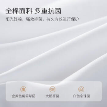 太湖雪 100%桑蚕丝冬被 蚕丝净重3斤 全棉 防螨抑菌保暖贴身200*230白 商品图1