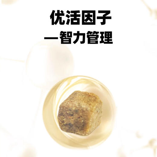 伯纳天纯小型犬高龄老年犬专用狗粮 7岁以上通用型天然犬粮 1.5kg 商品图2